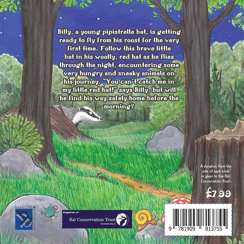 Back cover from Billy the Bat and the Little Red Hat children's book